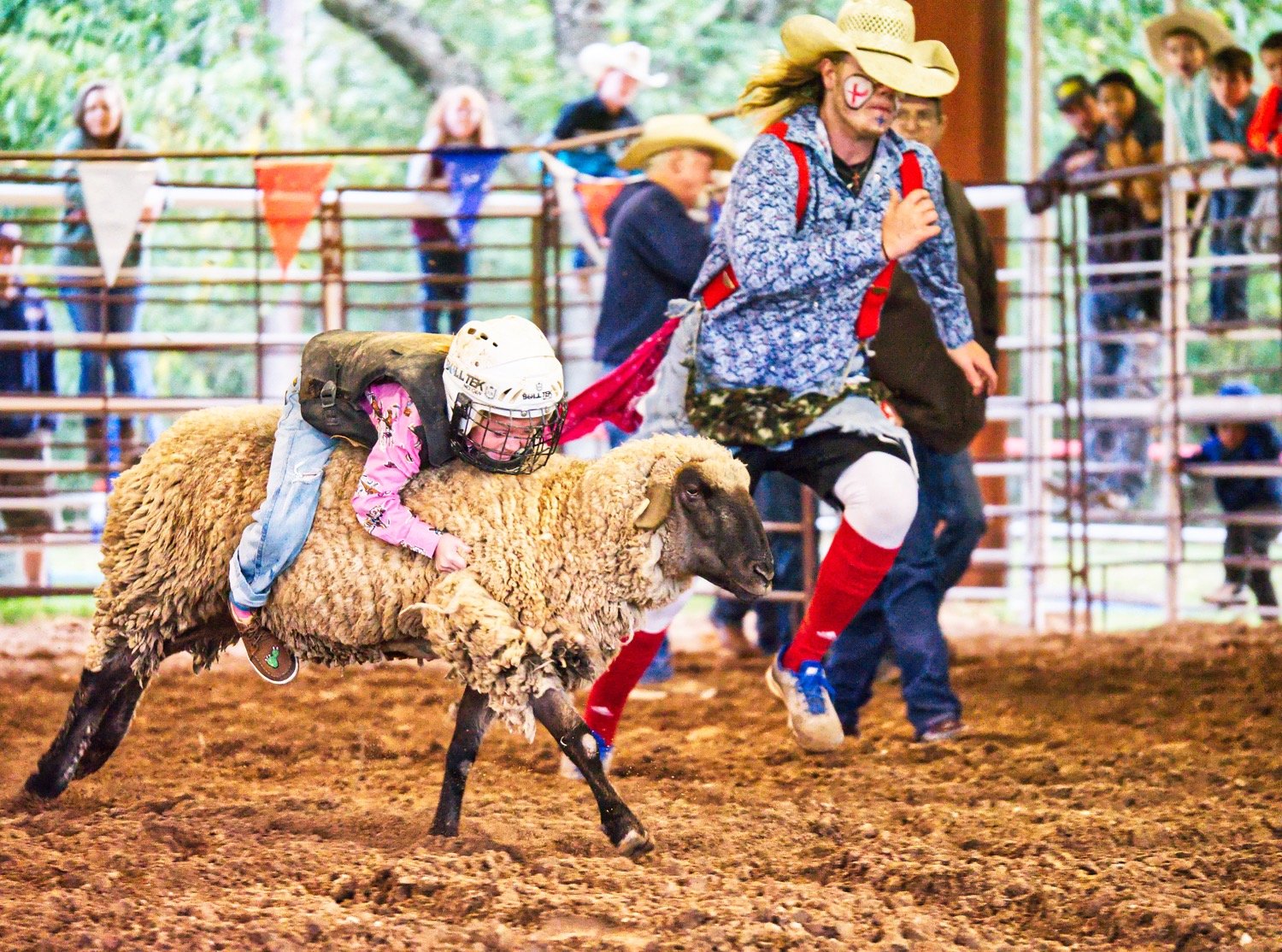 Sheepishness kept few children away from the opportunity to get a taste of the rodeo life, if only for a few seconds, during the mutton busting' competition Friday evening. [see more busters]